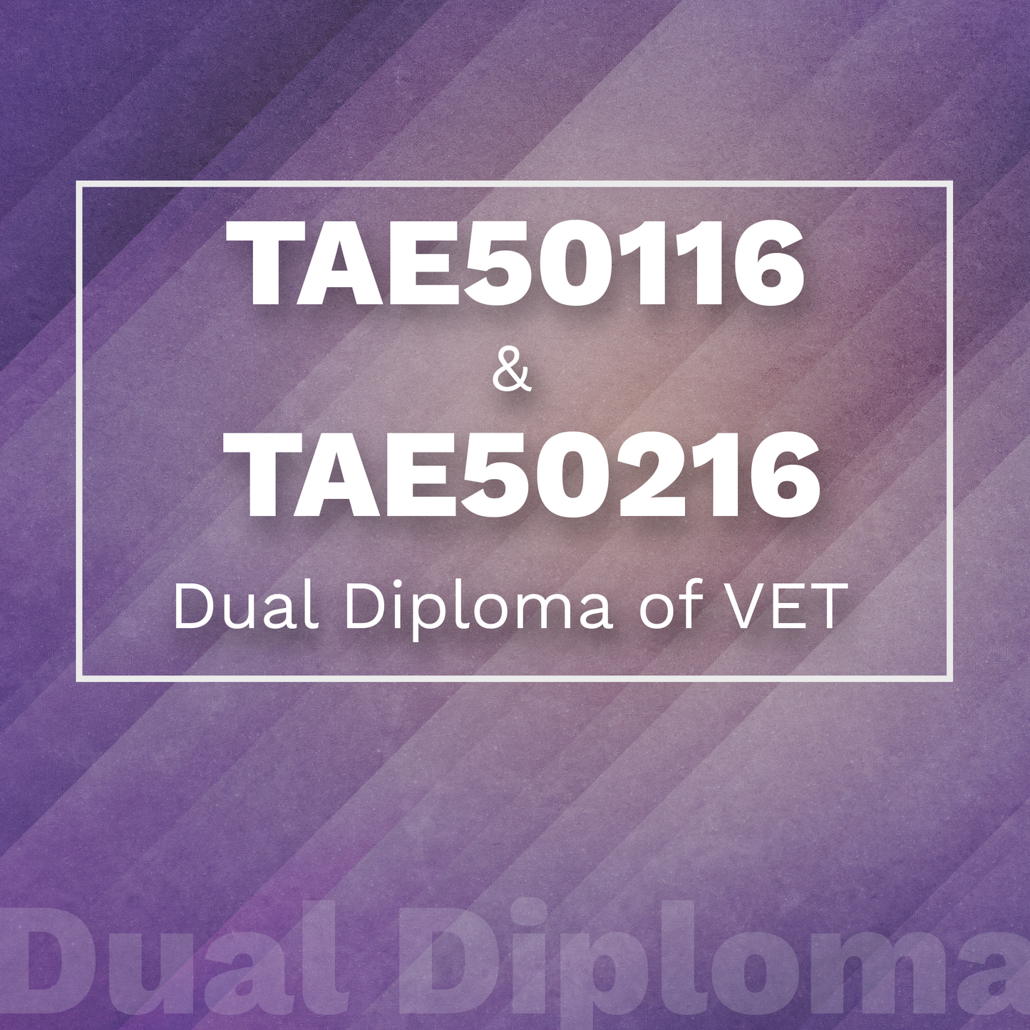 Dual Diploma of Vocational Training and Assessment